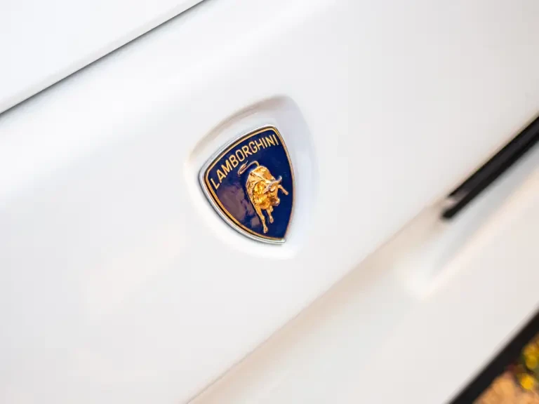 1995 Lamborghini Diablo SE30 - Image 16 of 31
