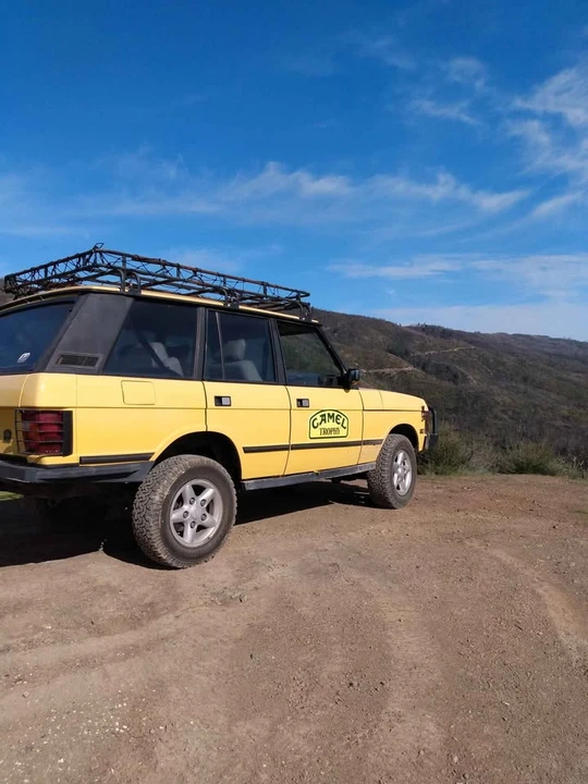 1995 Land Rover Range Rover - Image 3 of 18