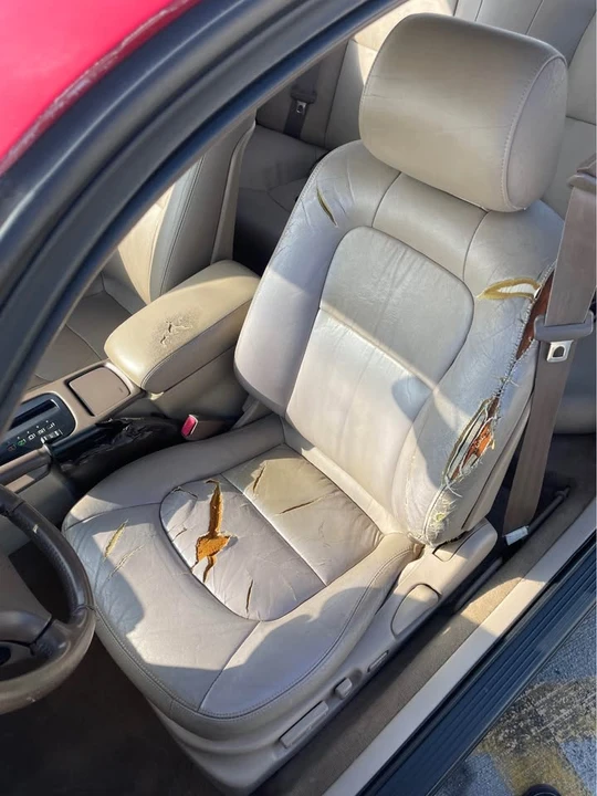 1995 Lexus SC400 - Image 10 of 13