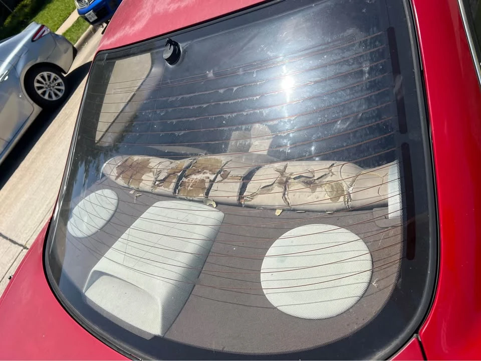1995 Lexus SC400 - Image 5 of 18