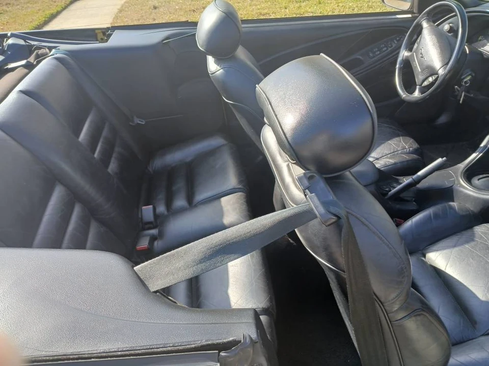 1995 Ford SN95 Mustang - Image 8 of 11