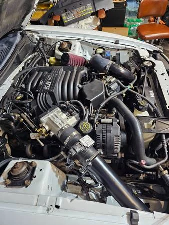 1995 Ford SN95 Mustang - Image 15 of 21