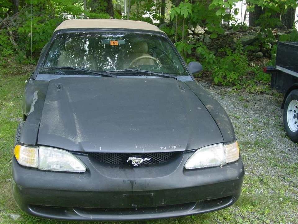 1995 Ford SN95 Mustang - Image 2 of 12