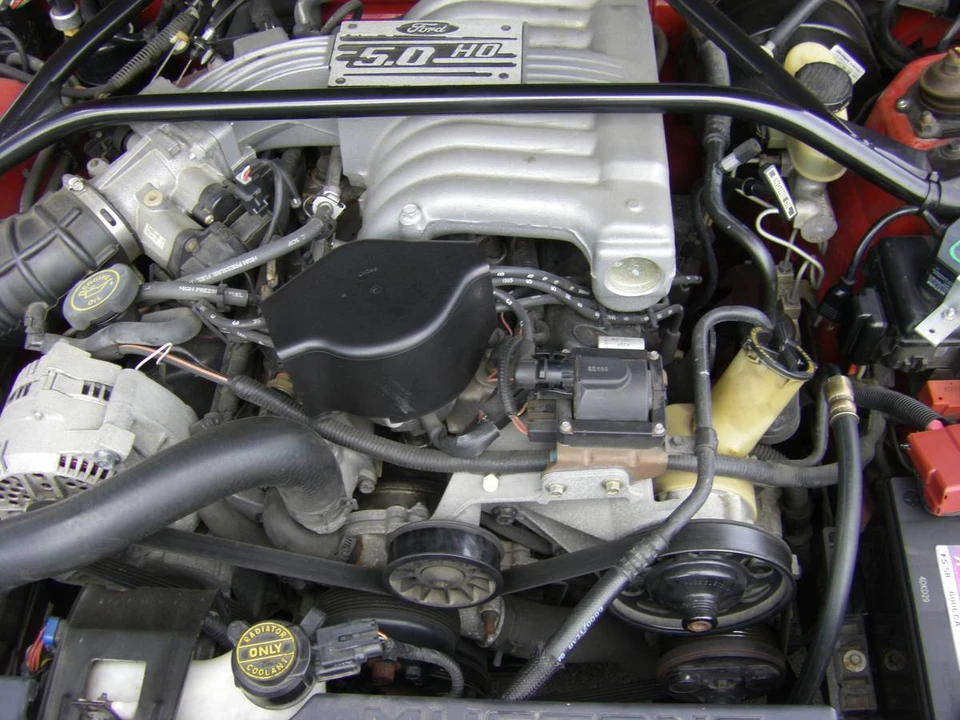1995 Ford SN95 Mustang - Image 15 of 15