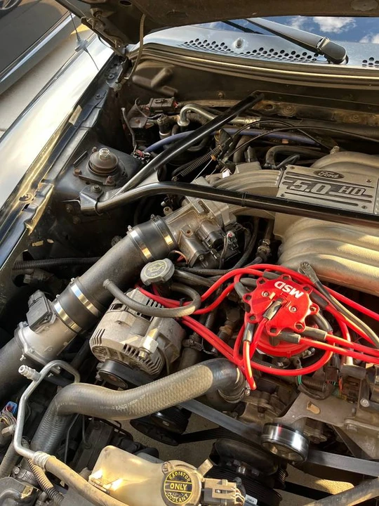 1995 Ford SN95 Mustang - Image 16 of 17