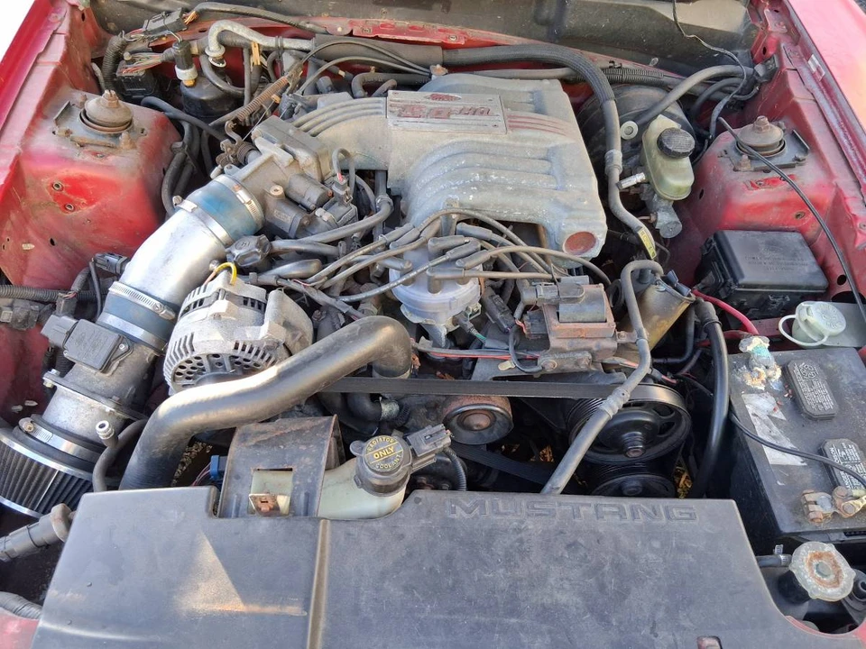 1995 Ford SN95 Mustang - Image 6 of 21