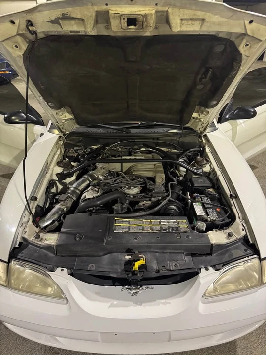 1995 Ford SN95 Mustang - Image 10 of 10