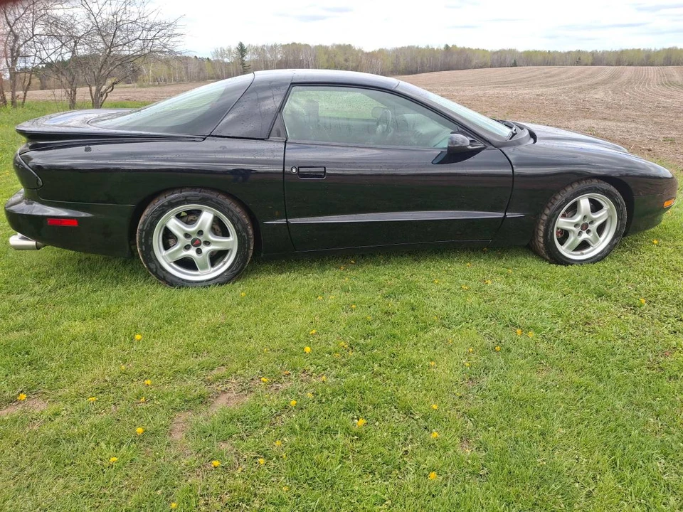 1995 Pontiac Firebird 4th Gen - Image 2 of 8