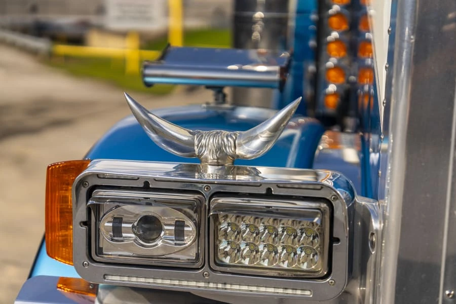 1995 Peterbilt 379 - Image 22 of 31