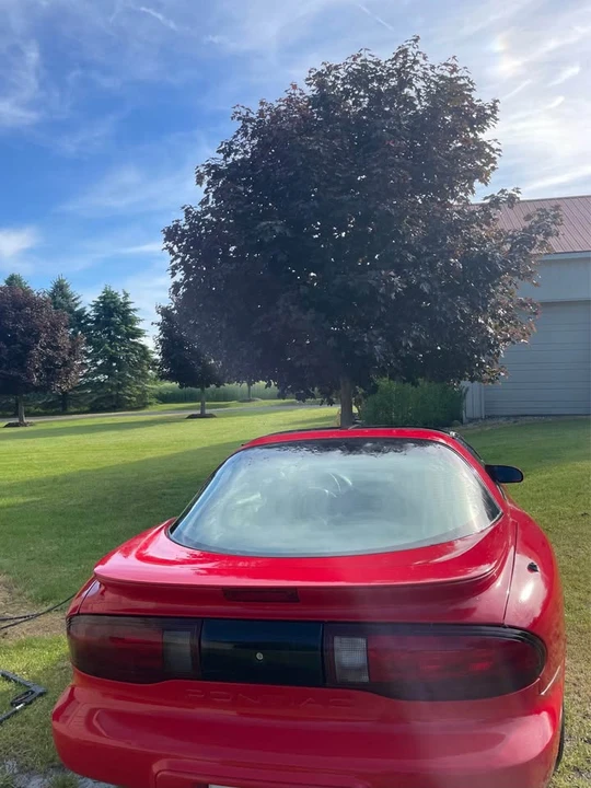 1995 Pontiac Firebird 4th Gen - Image 2 of 4