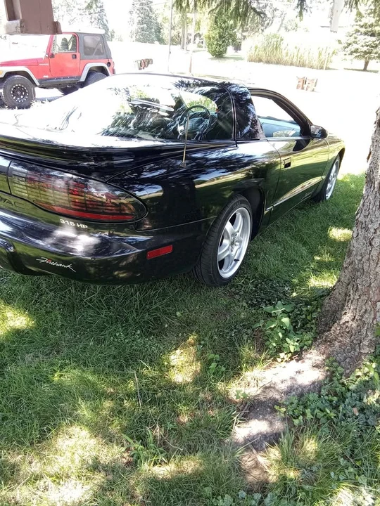 1995 Pontiac Firebird Formula 4th Gen - Image 9 of 10