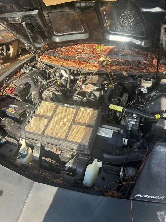 1995 Pontiac Firebird Formula 4th Gen - Image 8 of 8