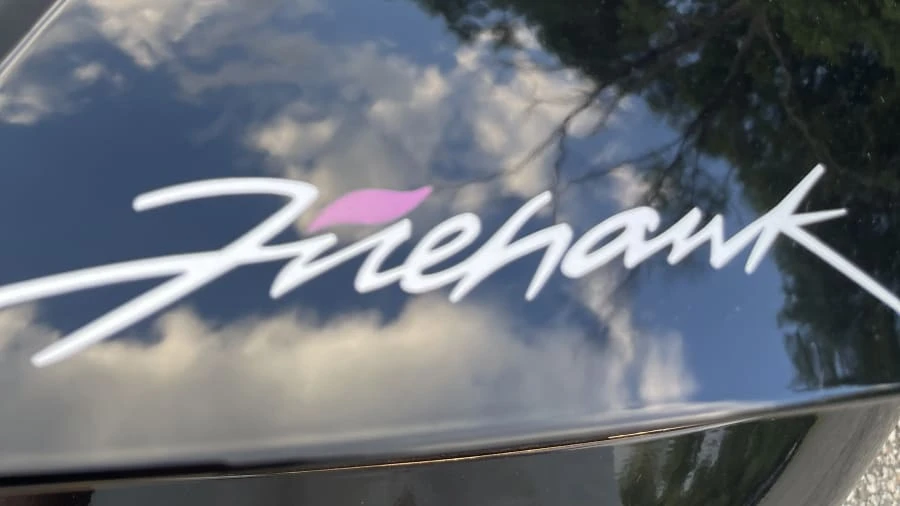 1995 Pontiac Firebird 4th Gen - Image 5 of 8