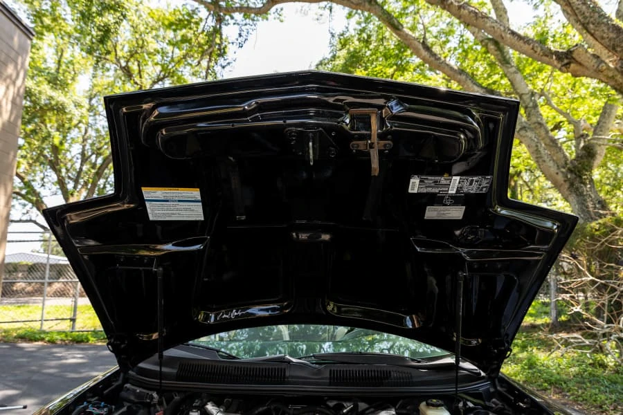 1995 Pontiac Firebird 4th Gen - Image 31 of 31