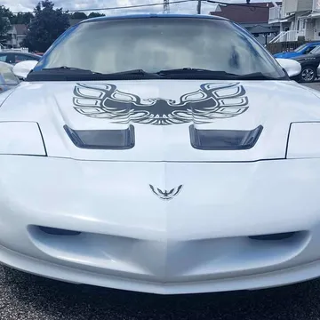 1995 Pontiac Firebird