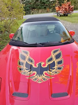 1995 Pontiac Firebird