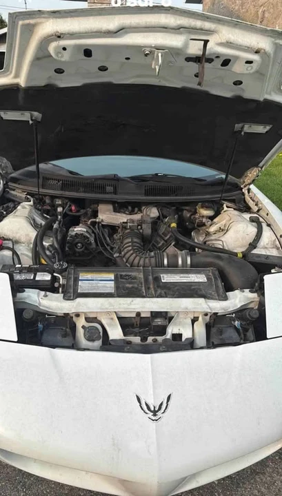1995 Pontiac Firebird 4th Gen - Image 11 of 11