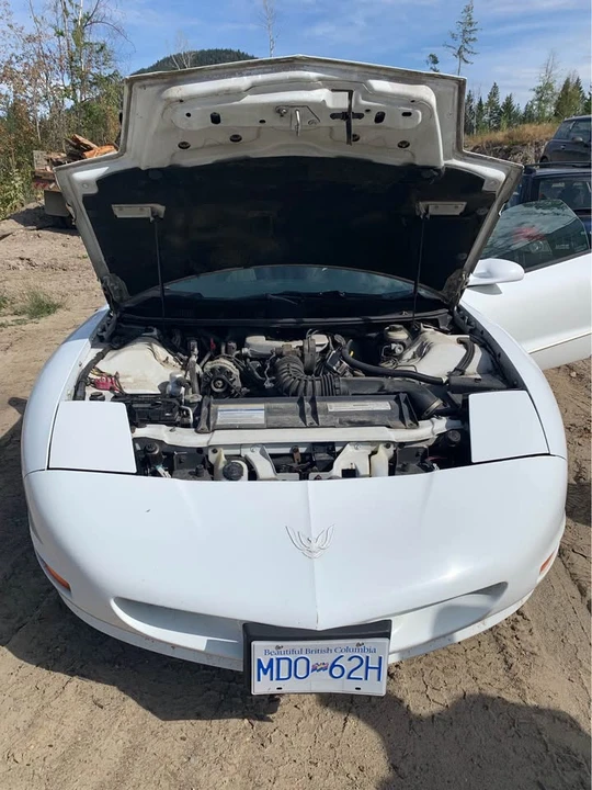 1995 Pontiac Firebird 4th Gen - Image 3 of 7