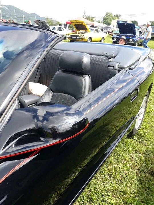 1995 Pontiac Firebird 4th Gen - Image 2 of 2