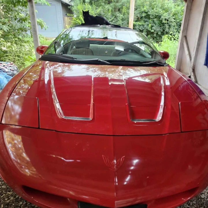1995 Pontiac Firebird 4th Gen - Image 2 of 3