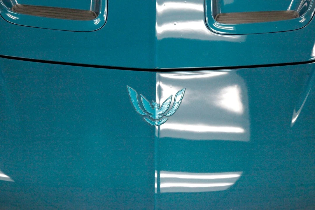 1995 Pontiac Firebird Trans Am 4th Gen - Image 12 of 12