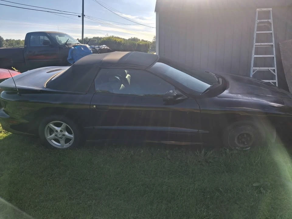 1995 Pontiac Firebird Trans Am 4th Gen - Image 4 of 7