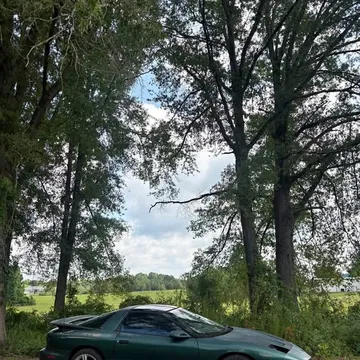 1995 Pontiac Firebird Trans Am Hatchback 2D