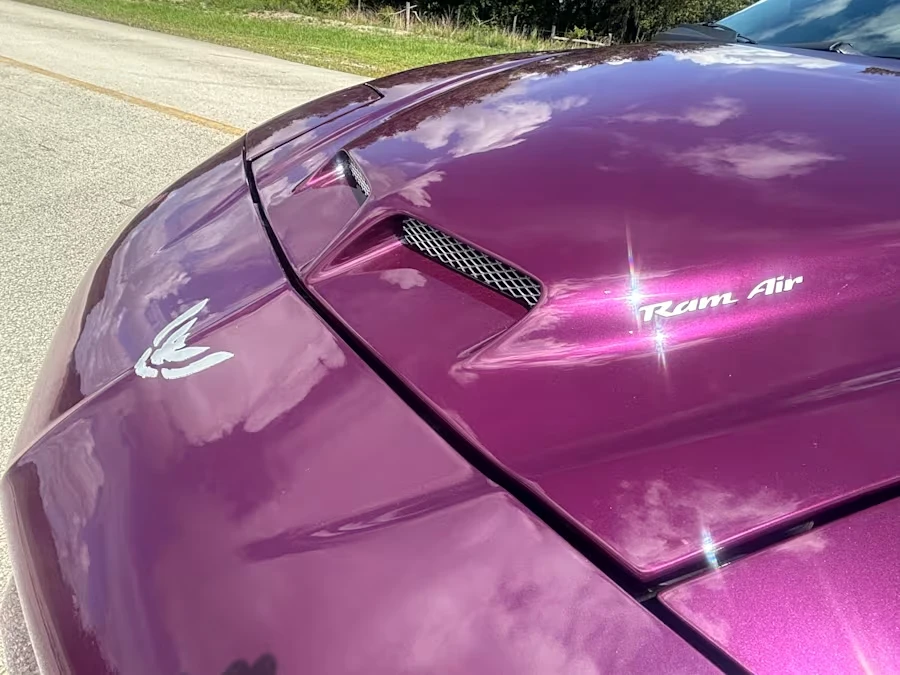1995 Pontiac Firebird Trans Am 4th Gen - Image 9 of 23