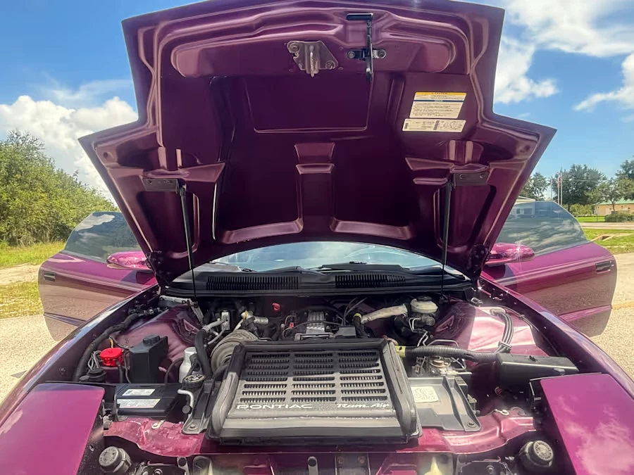 1995 Pontiac Firebird Trans Am 4th Gen - Image 22 of 23