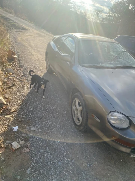 1995 Toyota Celica 6th Gen - Image 3 of 8