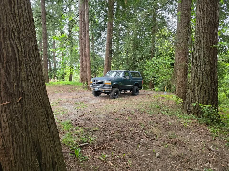 1995 Ford Bronco 5th Gen - Image 7 of 7