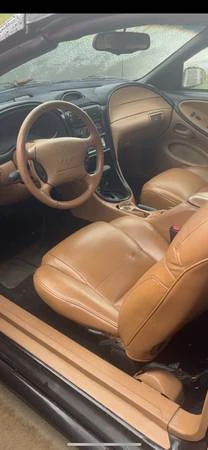 1995 Ford SN95 Mustang - Image 4 of 6