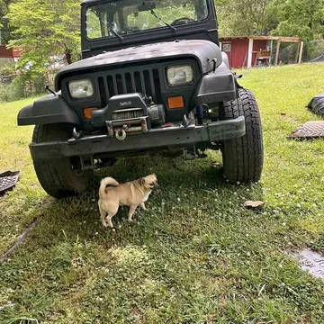 1995 Jeep Wrangler