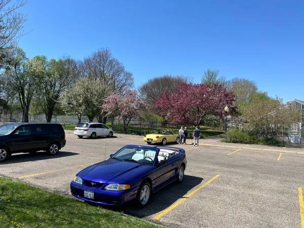 1995 Ford SN95 Mustang - Image 7 of 21