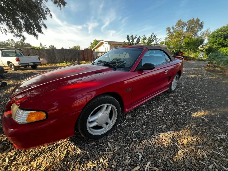 1995 Ford SN95 Mustang - Image 4 of 9