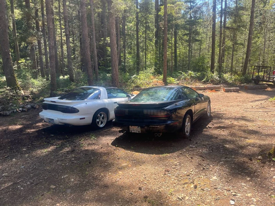1995 Pontiac Firebird Formula 4th Gen - Image 2 of 4