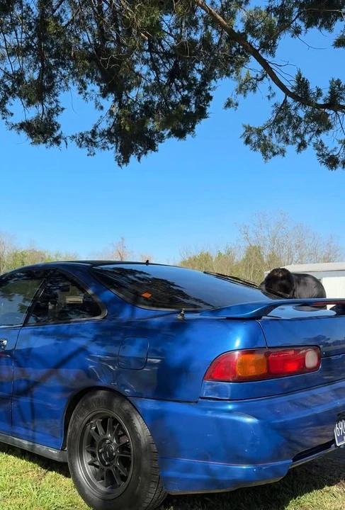 1996 Acura Integra 3rd Gen - Image 3 of 3