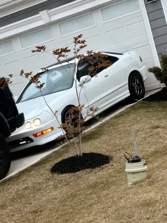 1996 Acura Integra 3rd Gen - Image 4 of 4