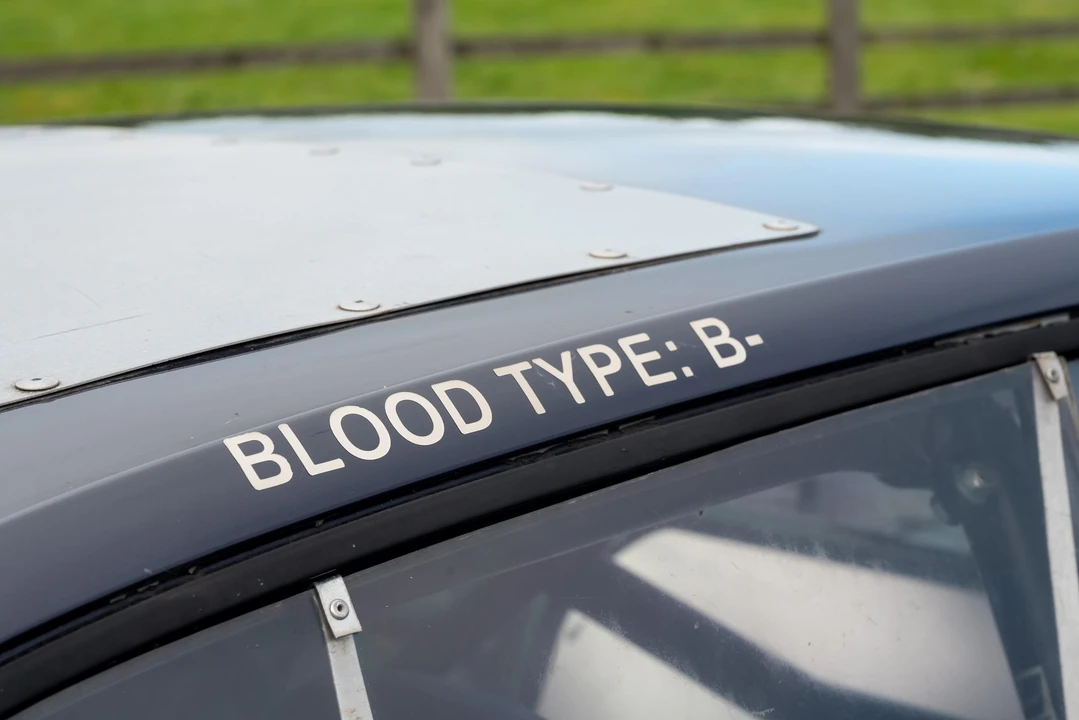 1996 BMW E36 3 Series - Image 22 of 31