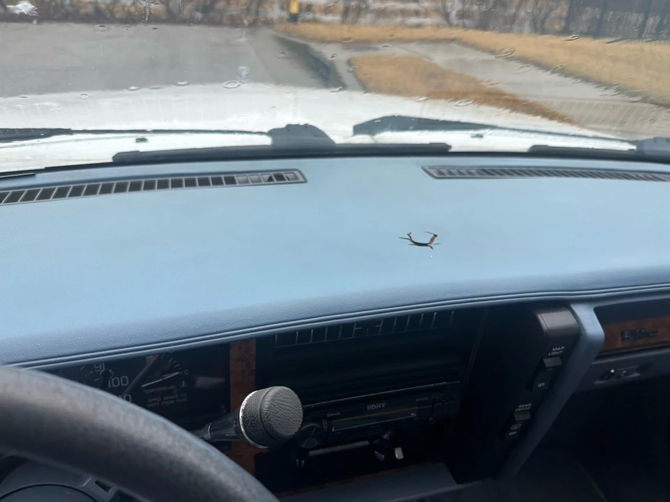 1996 Buick Century - Image 15 of 17