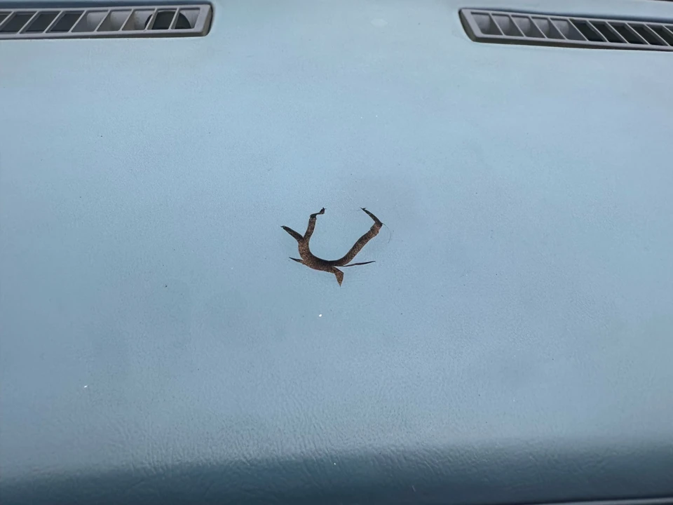 1996 Buick Century - Image 14 of 17