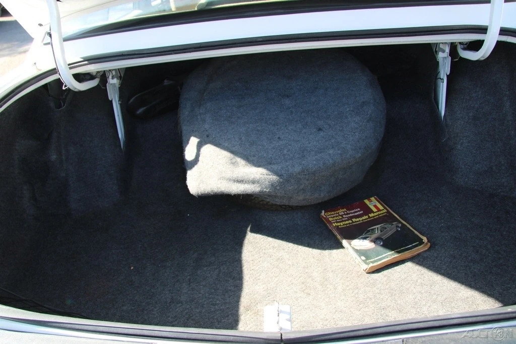 1996 Buick Roadmaster - Image 20 of 21