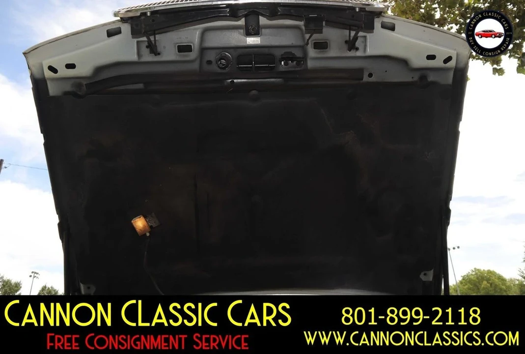 1996 Buick Roadmaster - Image 21 of 21