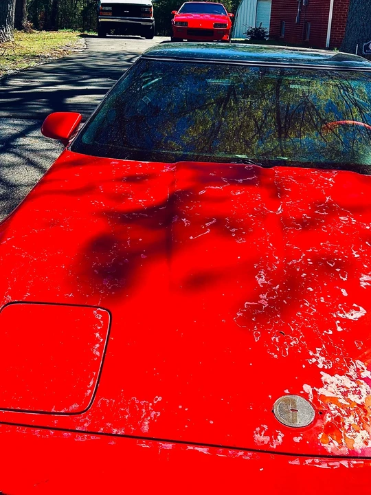 1996 Chevrolet Corvette C4 - Image 14 of 27