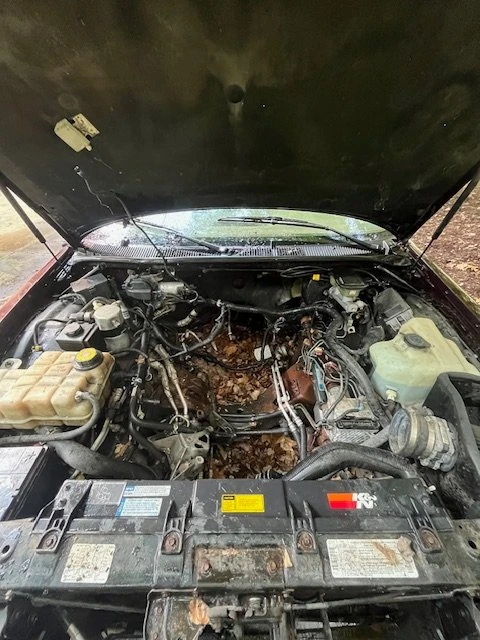 1996 Chevrolet Impala 7th Gen - Image 14 of 19