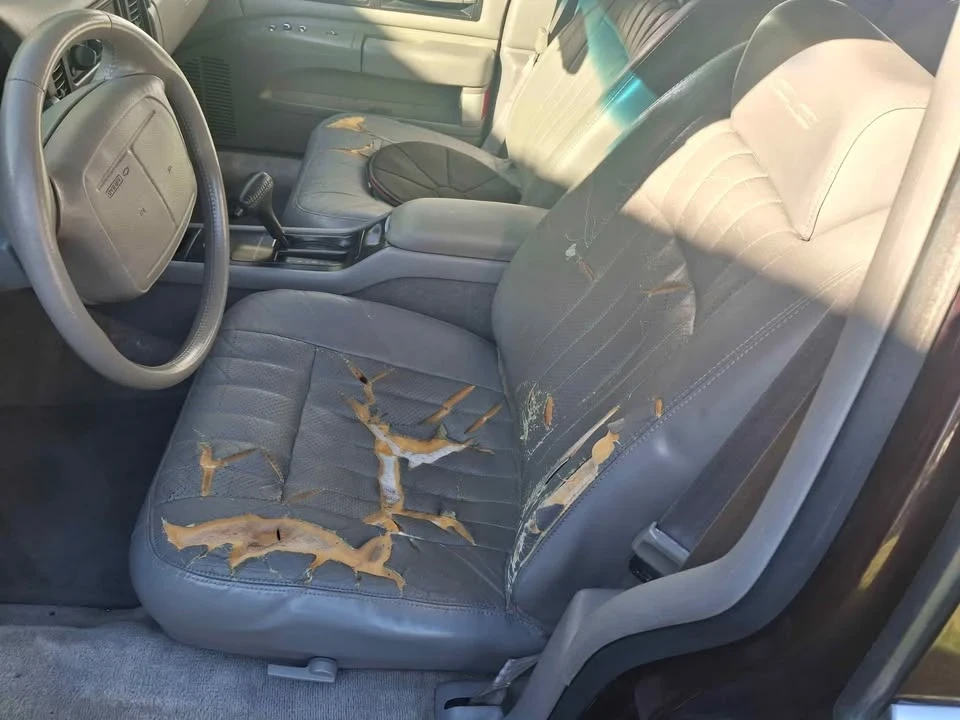 1996 Chevrolet Impala 7th Gen - Image 6 of 10