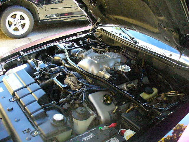 1996 Ford SN95 Mustang Cobra - Image 3 of 4