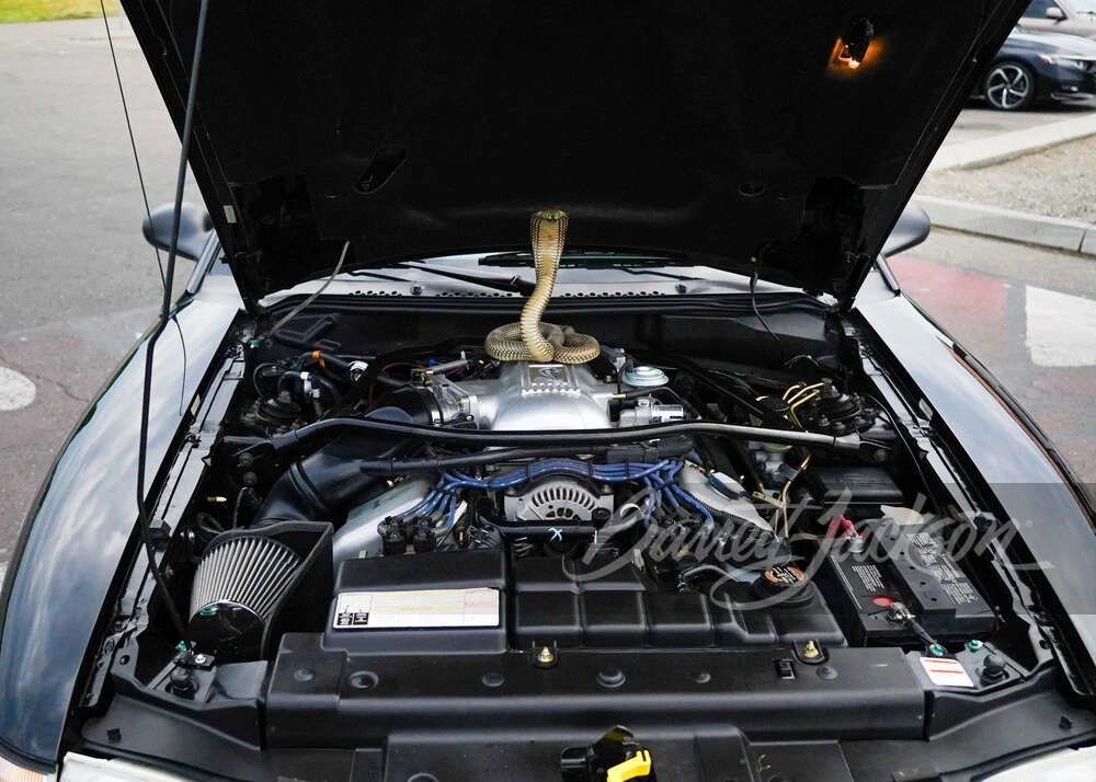 1996 Ford SN95 Mustang Cobra - Image 3 of 16
