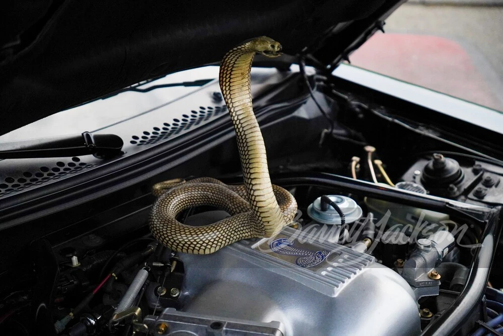 1996 Ford SN95 Mustang Cobra - Image 14 of 16