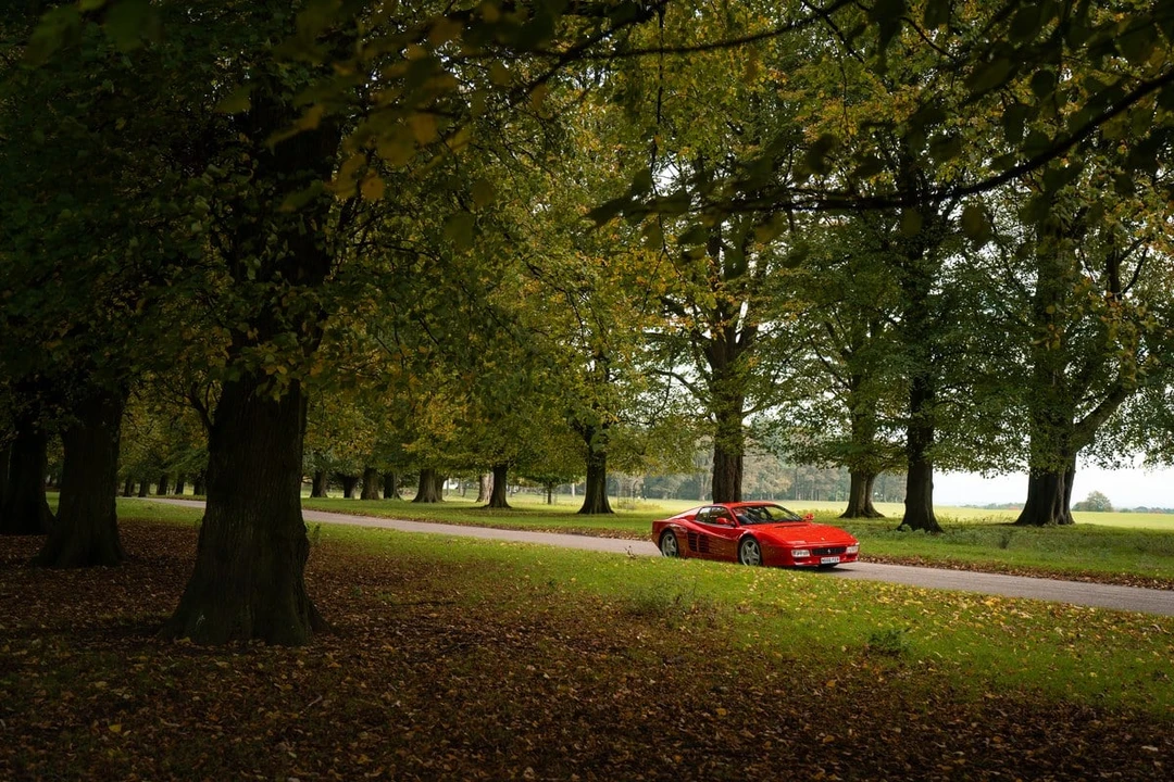 1996 Ferrari Testarossa - Image 10 of 30